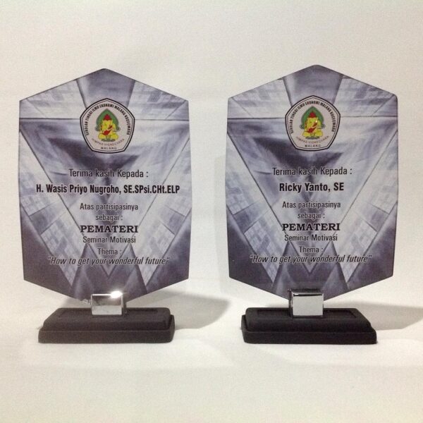 trophy 17